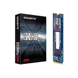 GIGABYTE SSD 256 GB M.2 PCIE GP-GSM2NE3256GNTD