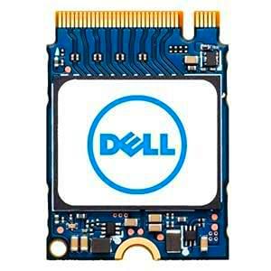 Dell M.2 PCIe NVMe Class 35 2230 - Unidad de Estado sólido (256 GB)