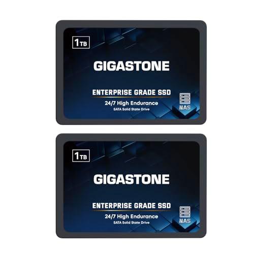 Gigastone Enterprise SSD 1TB NAS SSD caché (Paquete de 2) TLC 24/7 elevadas Resistencia empresarial Servidor centros de Datos Raid Almacenamiento Conectado a la Red 2.5&quot; SATA Interna Disco Duro ssd