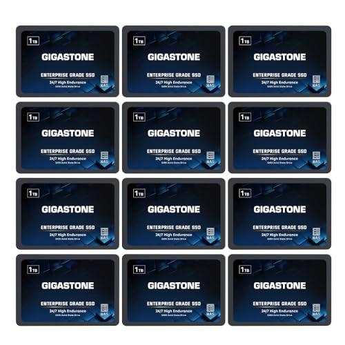 Gigastone Enterprise SSD 1TB SSD NAS Drive Cache (paquete de 12) 24/7 Durable TLC de alta resistencia para servidor empresarial centro de datos RAID Network Attached Storage Caching 6.3 cm SATA discos