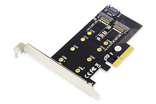 DIGITUS M.2 NGFF/NVMe SSD PCIexpress - Tarjeta de expansión (soporta Discos B