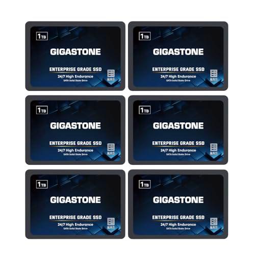 Gigastone Enterprise - SSD NAS de 1 TB (paquete de 6) 24/7